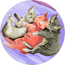 知 profile picture