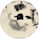 KEIKO profile picture